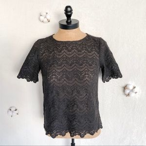 J Crew Factory Sheer Scalloped Lace Black Top